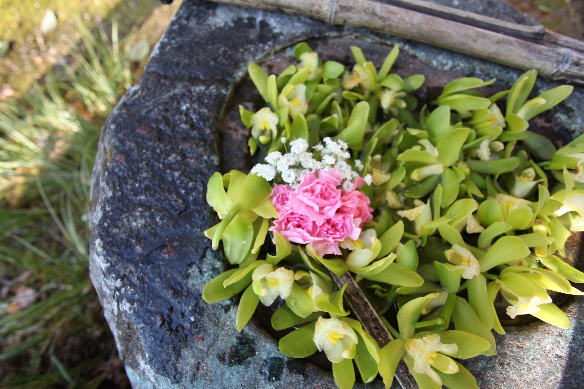 花手水の写真