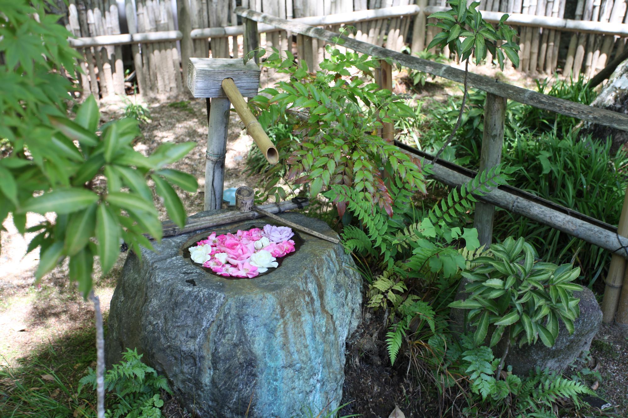 花手水の写真