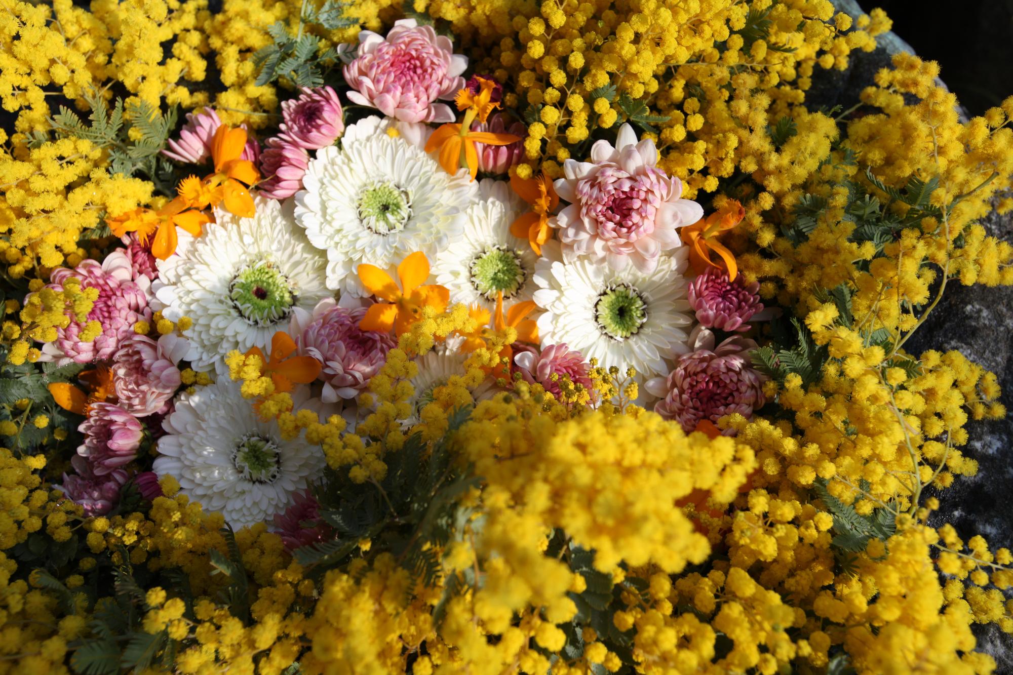 花手水の写真