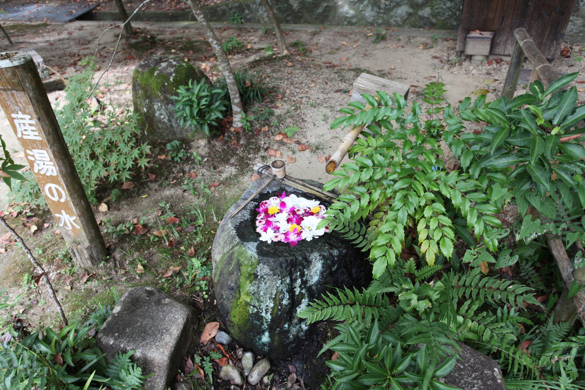 花手水の写真