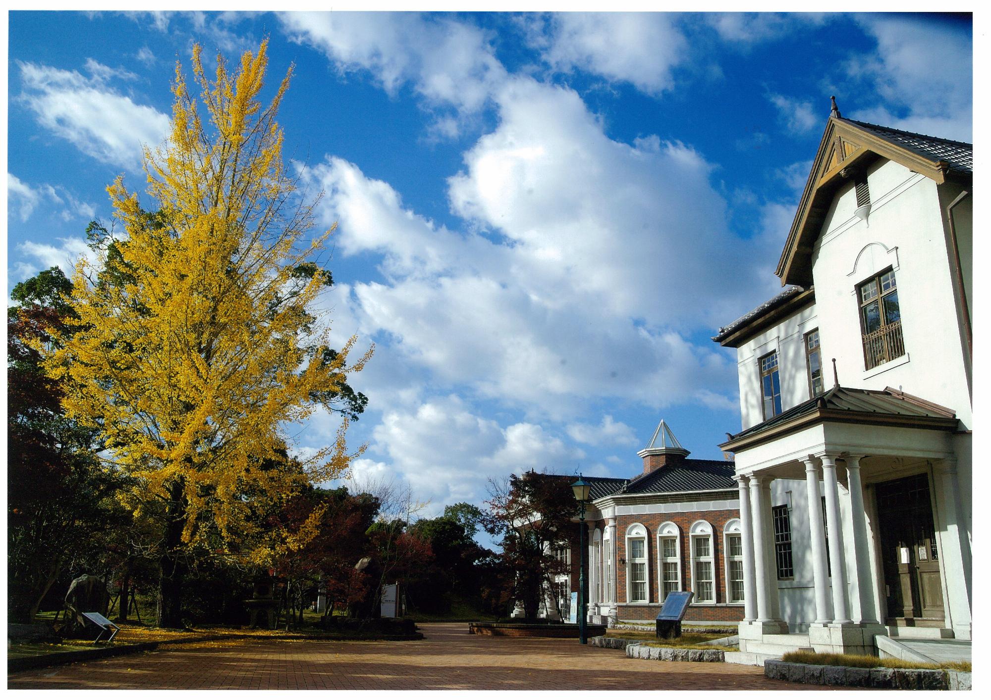 イチョウの木と伊藤公資料館と旧伊藤博文邸の写真