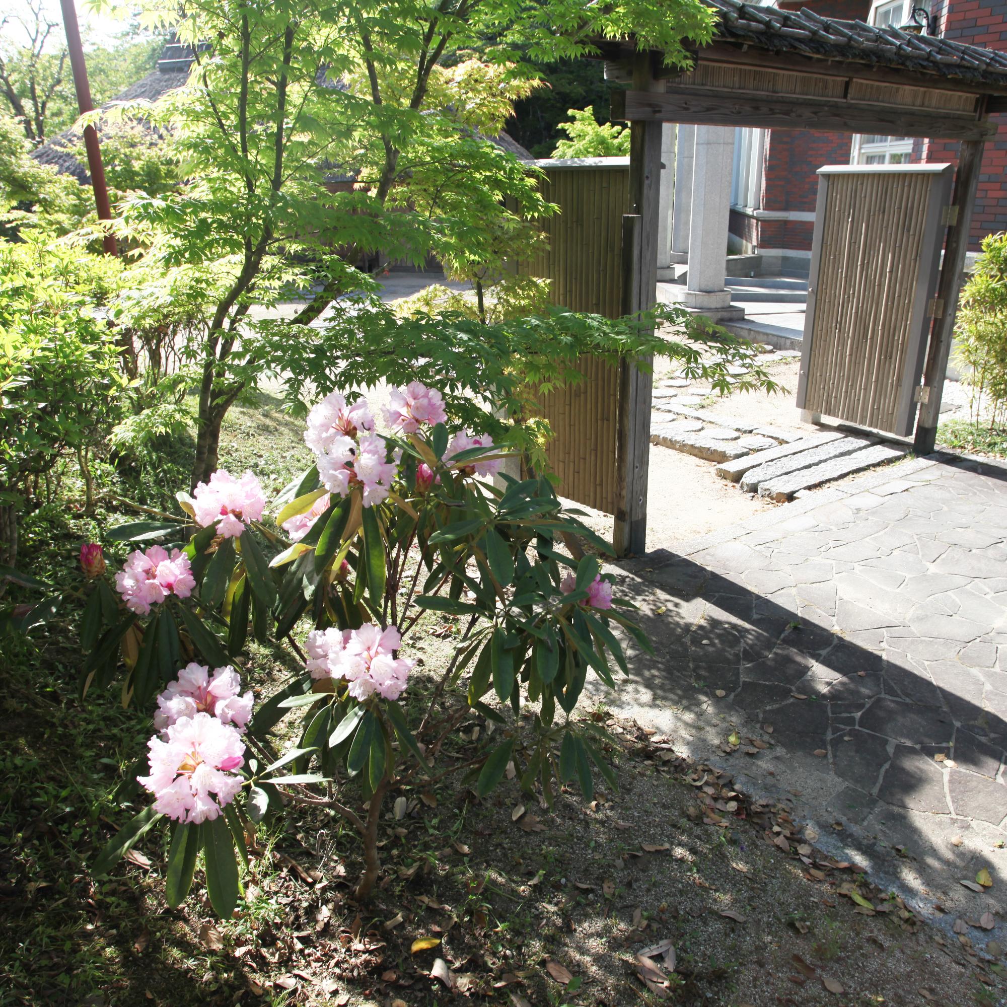 伊藤公記念公園の写真