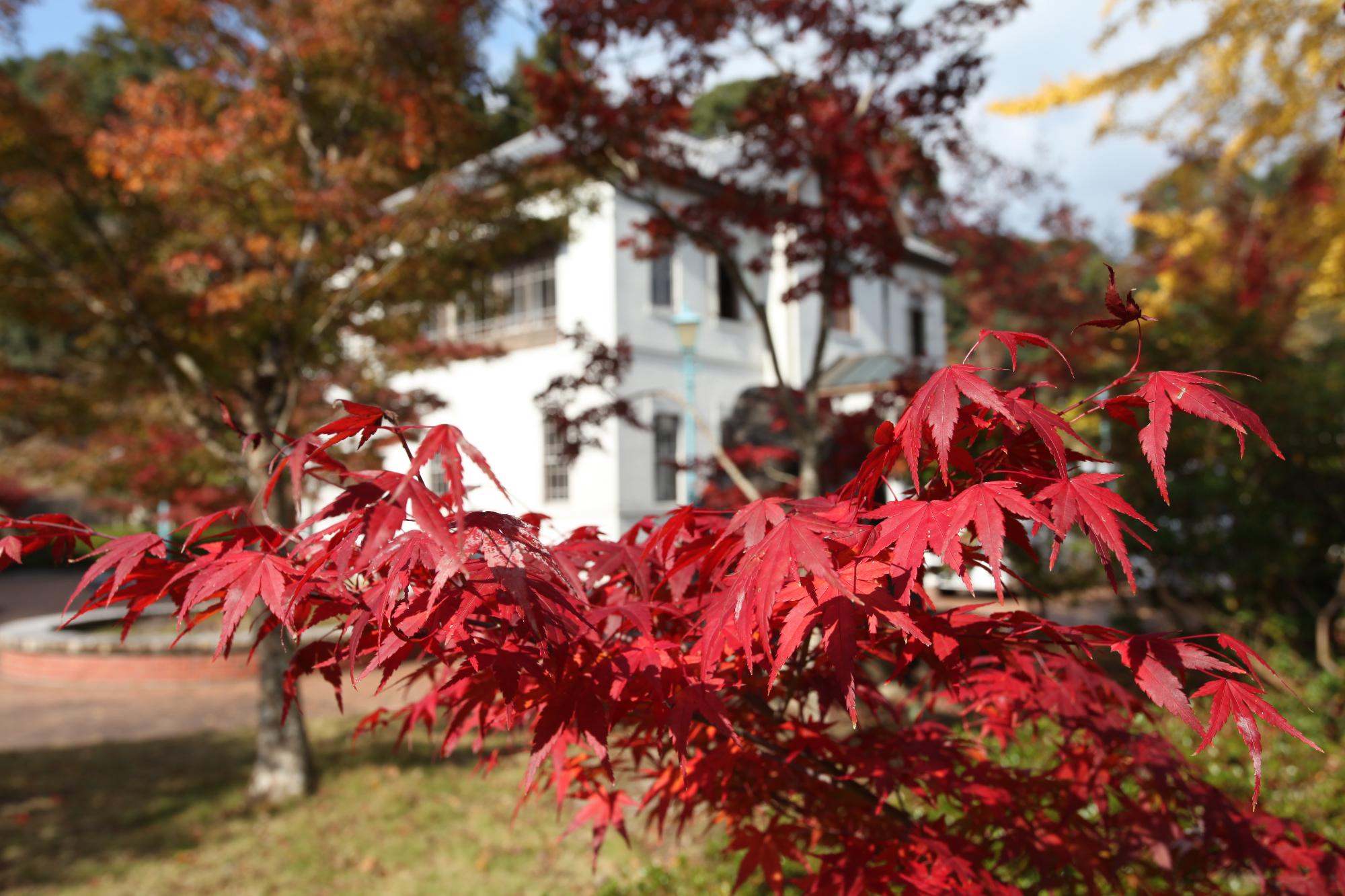 旧伊藤博文邸と紅葉の写真