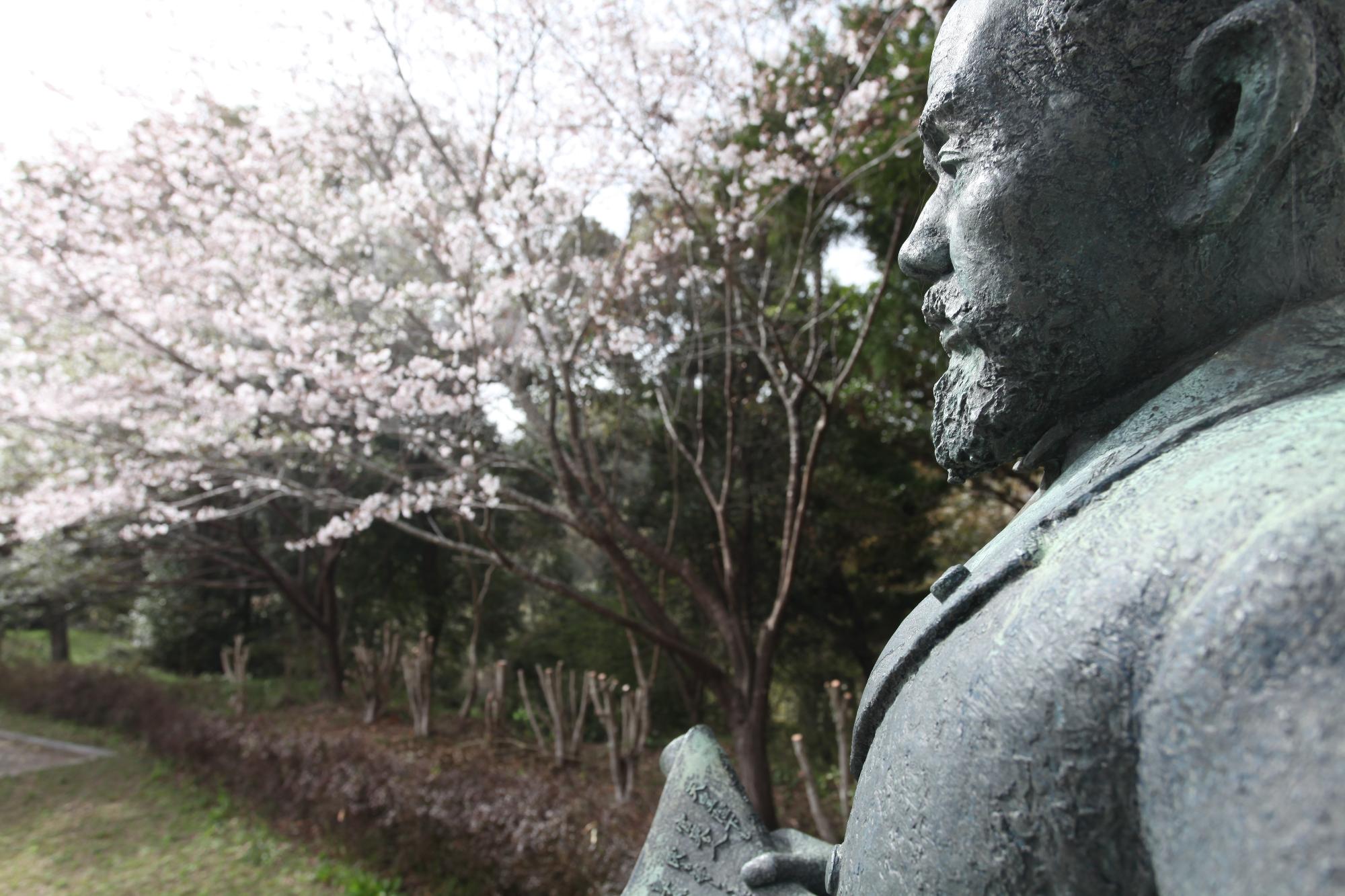 桜と伊藤博文の銅像の写真