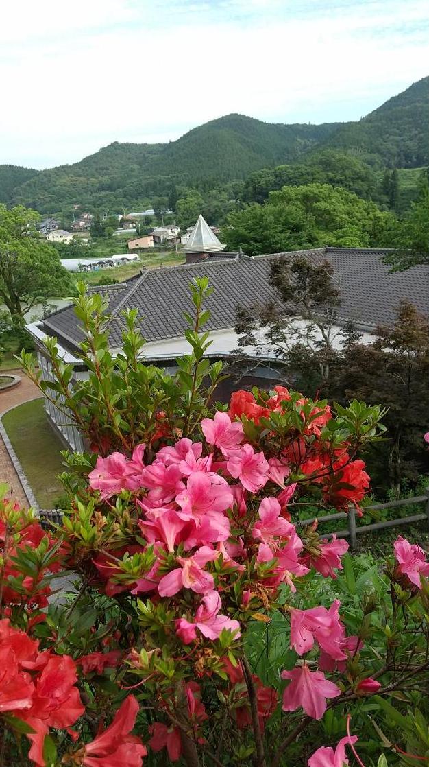 伊藤公記念公園のつつじの写真