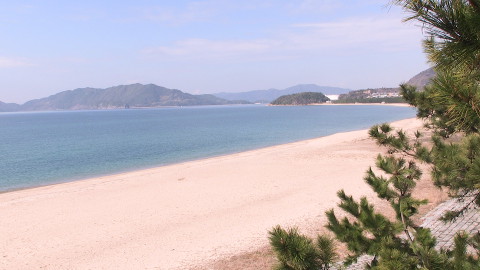 虹ケ浜海岸の情報カメラの画像