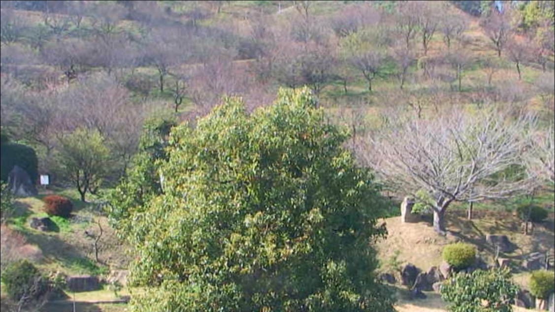 冠山総合公園の情報カメラの画像