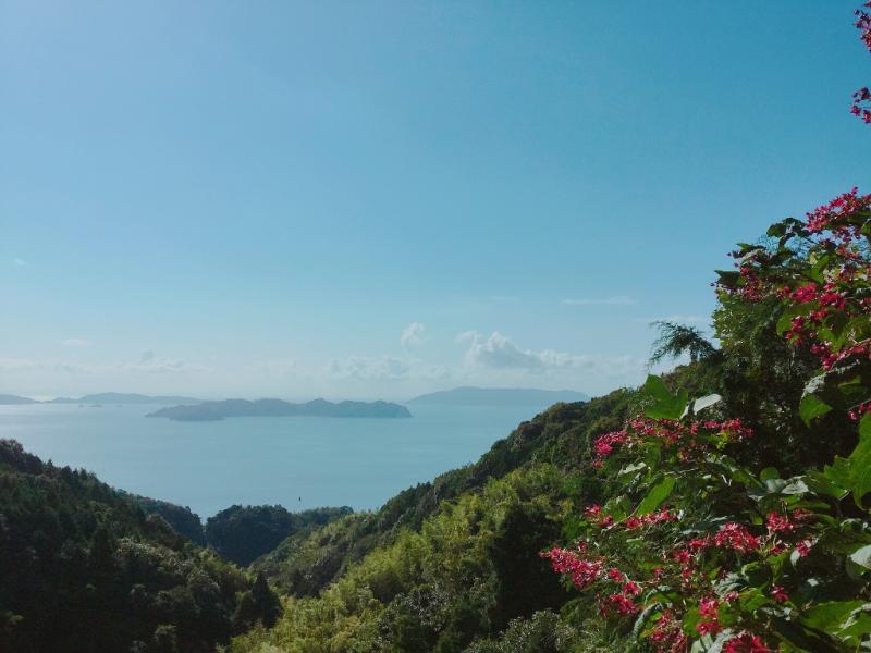 緑色の山の木々と赤い花の奥に映る真っ青な海と空の写真