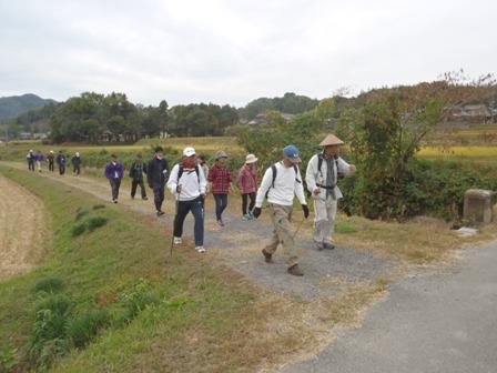 田んぼ道を杖を突いて歩く参加者たちの写真
