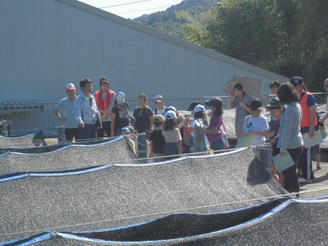 黒い日よけの網が掛けられている場所を浄水場の職員の方が説明しており、子ども達と関係者の方々が見学をしている写真