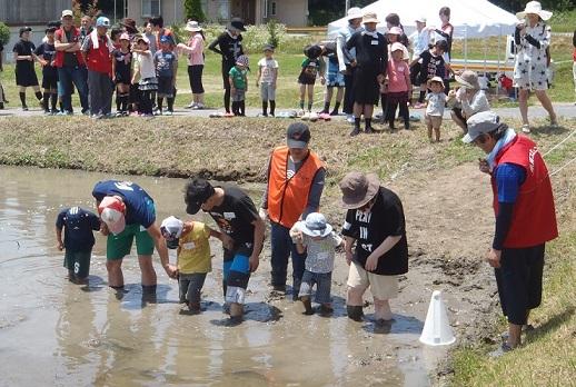 地域ふれあい協働隊と一緒に参加者の親子連れが田んぼのどろんこに足が浸かりながらも歩こうとしている写真