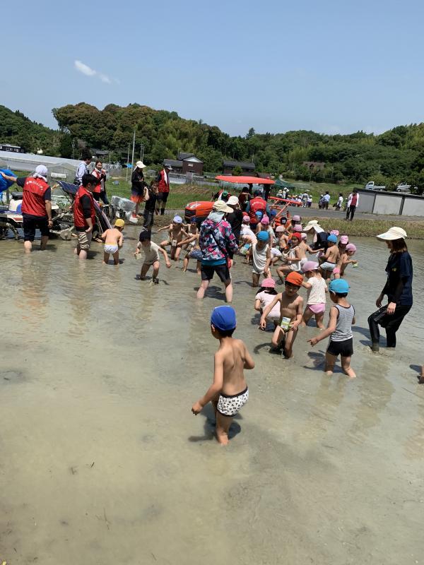 下着に水泳帽を被り、水が張られた田んぼの中に入っている子供たちと、地域おこし協力隊員の写真