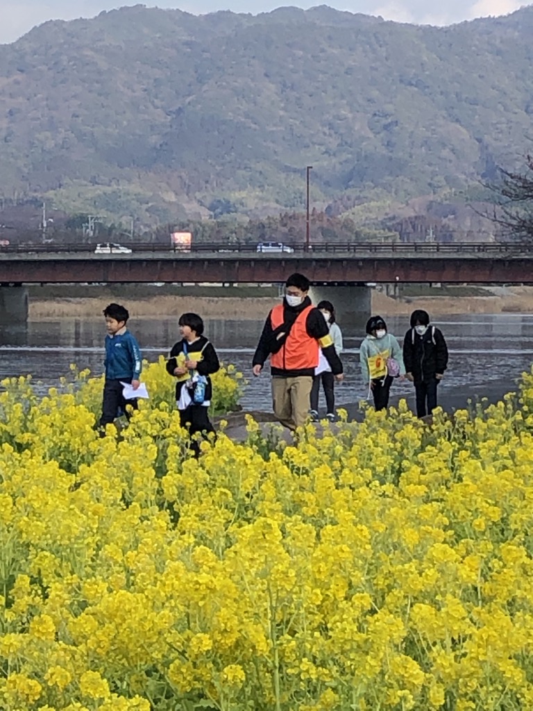 菜の花畑を歩く小学生と隊員