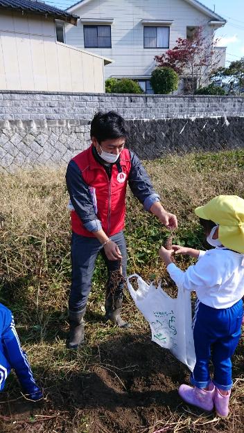 地域おこし協力隊員と幼稚園児が収穫したサツマイモをビニール袋に入れている様子