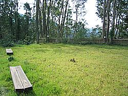 緑の芝生の上にベンチが置かれた伊藤公の森の写真