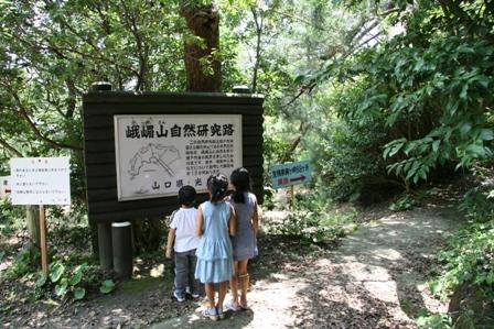 昼間の森で案内図を見る三人の子どもの写真