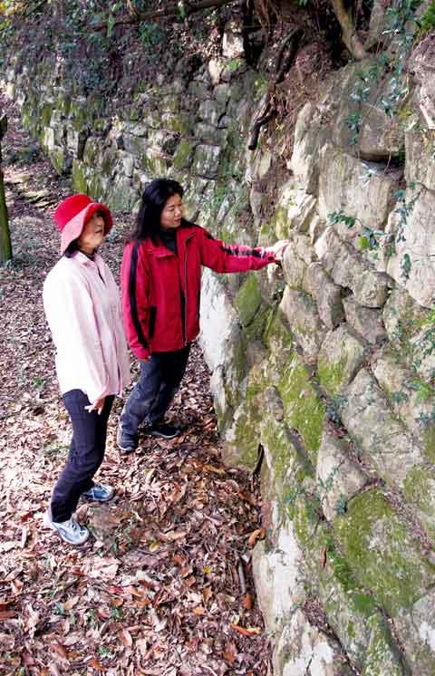 「石城山神籠石（いわきさんこうごいし）」を眺めている女性らの写真