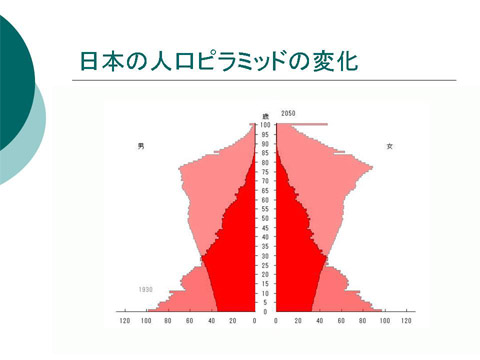 「日本の人口ピラミッドの変化」についての研修会資料