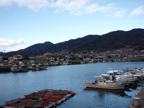 背景に山が見える漁船がたくさん停泊している漁港の写真