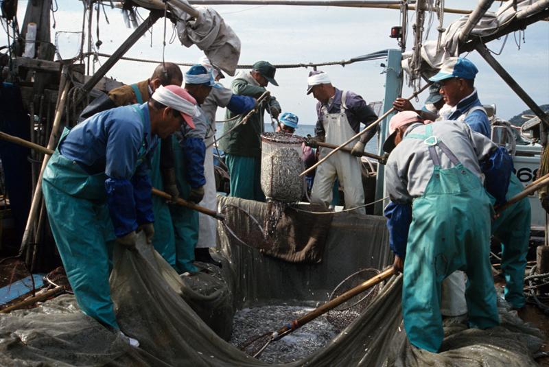 魚礁の設置や海底清掃等をしていり写真