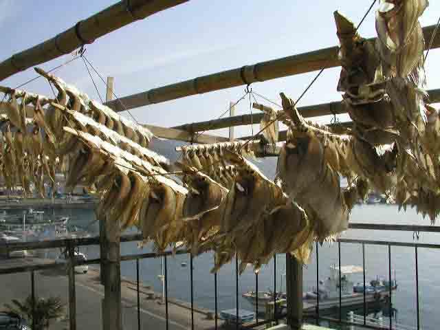 海と漁船が見える屋外で太い物干し竿に平べったい竹串に刺さって干されている大量のカレイの写真
