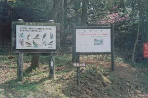 山の斜面に建てられた野鳥のイラストが入った看板と地図と文章が書かれた看板が横並びになっている写真