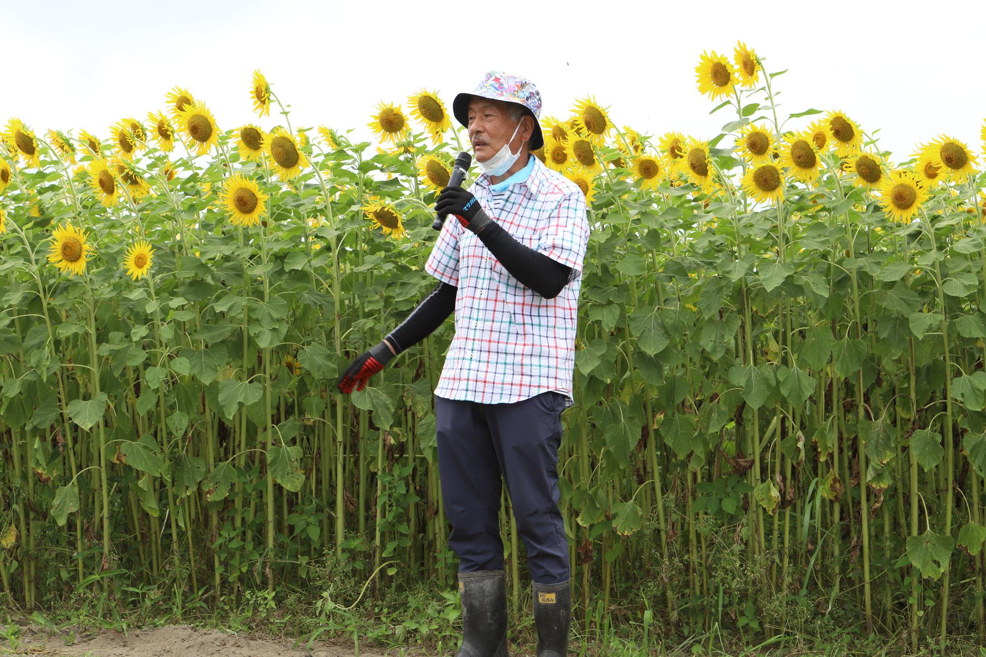光緑匠代表社員田村さんのひまわり説明会の様子