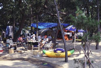 虹ヶ浜キャンプ場でキャンプをする人たちの写真