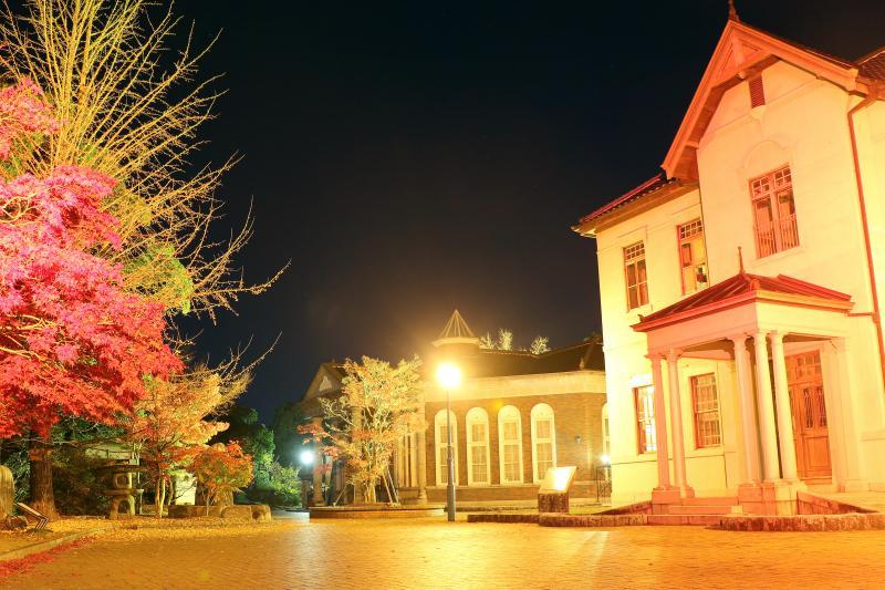 暗闇の中ライトアップされている旧伊藤 博文邸と紅葉した樹木の写真