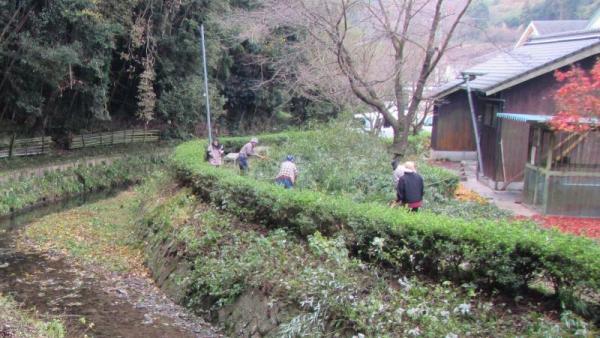 河川敷の草刈りをする5人の男女の写真
